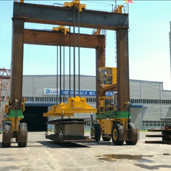 DG����(�й���)����